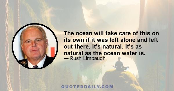 The ocean will take care of this on its own if it was left alone and left out there. It's natural. It's as natural as the ocean water is.