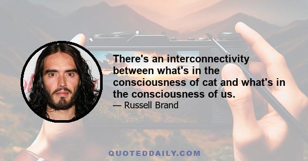 There's an interconnectivity between what's in the consciousness of cat and what's in the consciousness of us.