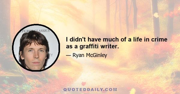 I didn't have much of a life in crime as a graffiti writer.