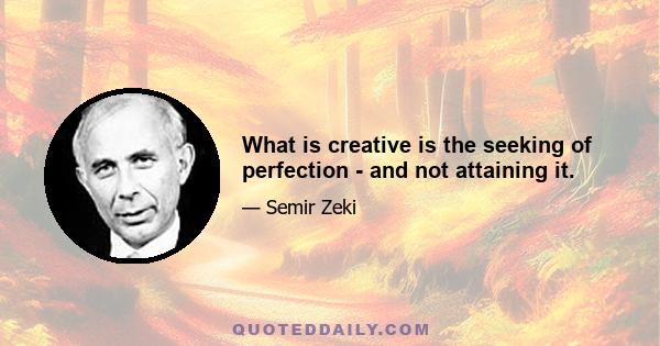 What is creative is the seeking of perfection - and not attaining it.