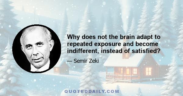 Why does not the brain adapt to repeated exposure and become indifferent, instead of satisfied?