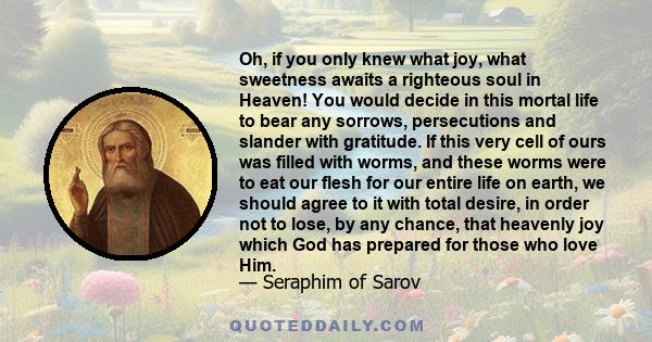 Oh, if you only knew what joy, what sweetness awaits a righteous soul in Heaven! You would decide in this mortal life to bear any sorrows, persecutions and slander with gratitude. If this very cell of ours was filled