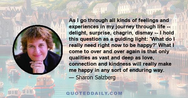 As I go through all kinds of feelings and experiences in my journey through life -- delight, surprise, chagrin, dismay -- I hold this question as a guiding light: 'What do I really need right now to be happy?' What I