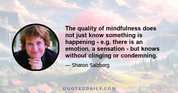 The quality of mindfulness does not just know something is happening - e.g. there is an emotion, a sensation - but knows without clinging or condemning.