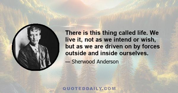 There is this thing called life. We live it, not as we intend or wish, but as we are driven on by forces outside and inside ourselves.