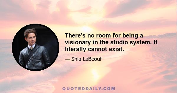 There's no room for being a visionary in the studio system. It literally cannot exist.