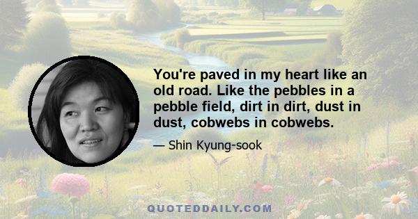 You're paved in my heart like an old road. Like the pebbles in a pebble field, dirt in dirt, dust in dust, cobwebs in cobwebs.