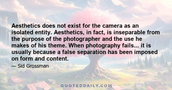 Aesthetics does not exist for the camera as an isolated entity. Aesthetics, in fact, is inseparable from the purpose of the photographer and the use he makes of his theme. When photography fails... it is usually because 