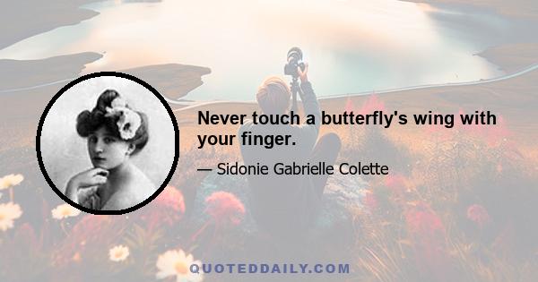 Never touch a butterfly's wing with your finger.