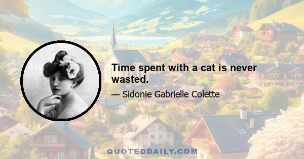 Time spent with a cat is never wasted.