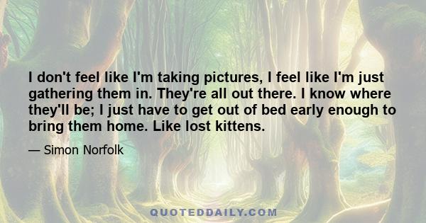 I don't feel like I'm taking pictures, I feel like I'm just gathering them in. They're all out there. I know where they'll be; I just have to get out of bed early enough to bring them home. Like lost kittens.