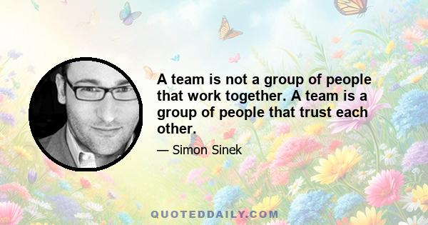 A team is not a group of people that work together. A team is a group of people that trust each other.