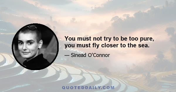 You must not try to be too pure, you must fly closer to the sea.