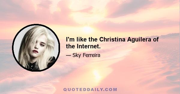 I'm like the Christina Aguilera of the Internet.