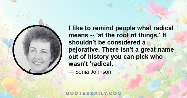 I like to remind people what radical means -- 'at the root of things.' It shouldn't be considered a pejorative. There isn't a great name out of history you can pick who wasn't 'radical.