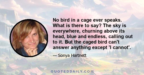 No bird in a cage ever speaks. What is there to say? The sky is everywhere, churning above its head, blue and endless, calling out to it. But the caged bird can't answer anything except 'I cannot'.