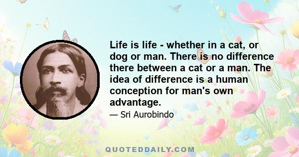 Life is life - whether in a cat, or dog or man. There is no difference there between a cat or a man. The idea of difference is a human conception for man's own advantage.