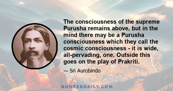 The consciousness of the supreme Purusha remains above, but in the mind there may be a Purusha consciousness which they call the cosmic consciousness - it is wide, all-pervading, one. Outside this goes on the play of
