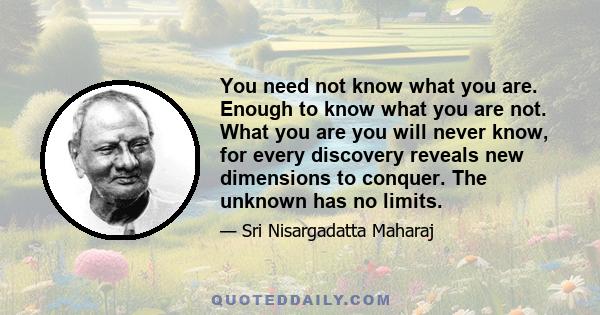 You need not know what you are. Enough to know what you are not. What you are you will never know, for every discovery reveals new dimensions to conquer. The unknown has no limits.