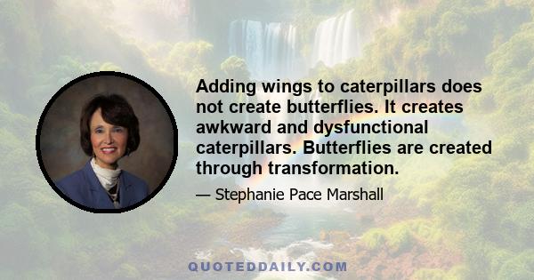 Adding wings to caterpillars does not create butterflies. It creates awkward and dysfunctional caterpillars. Butterflies are created through transformation.