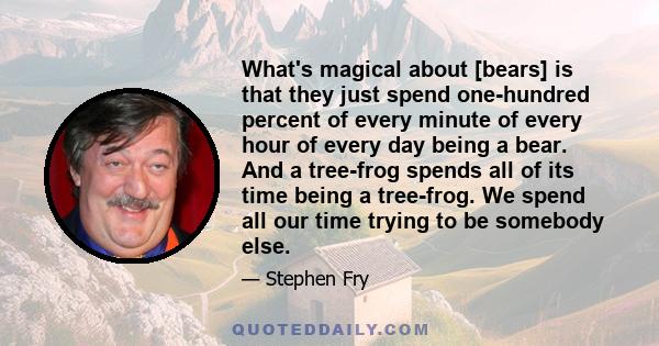 What's magical about [bears] is that they just spend one-hundred percent of every minute of every hour of every day being a bear. And a tree-frog spends all of its time being a tree-frog. We spend all our time trying to 