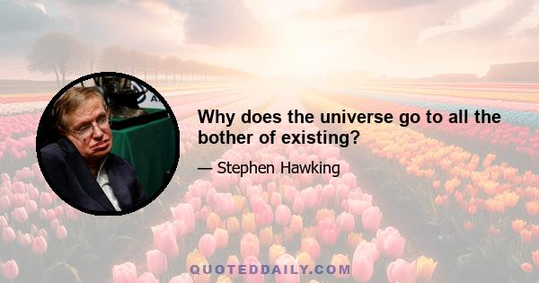 Why does the universe go to all the bother of existing?