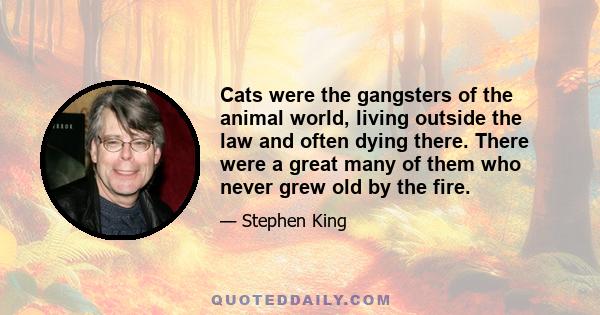 Cats were the gangsters of the animal world, living outside the law and often dying there. There were a great many of them who never grew old by the fire.