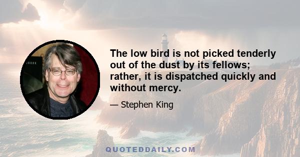 The low bird is not picked tenderly out of the dust by its fellows; rather, it is dispatched quickly and without mercy.