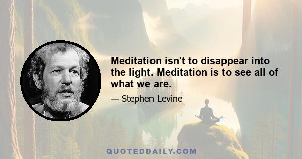 Meditation isn't to disappear into the light. Meditation is to see all of what we are.