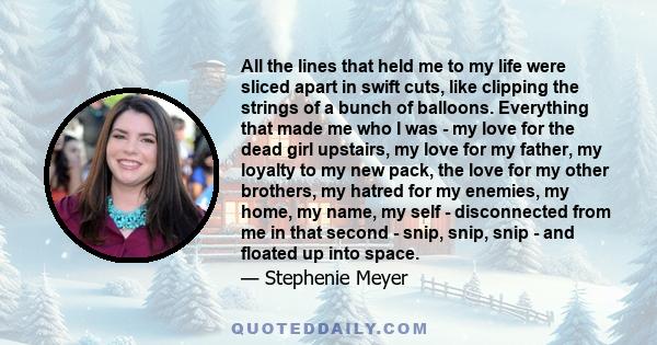 All the lines that held me to my life were sliced apart in swift cuts, like clipping the strings of a bunch of balloons. Everything that made me who I was - my love for the dead girl upstairs, my love for my father, my