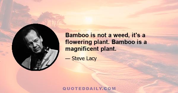 Bamboo is not a weed, it's a flowering plant. Bamboo is a magnificent plant.