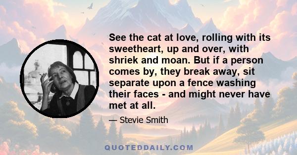 See the cat at love, rolling with its sweetheart, up and over, with shriek and moan. But if a person comes by, they break away, sit separate upon a fence washing their faces - and might never have met at all.