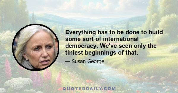 Everything has to be done to build some sort of international democracy. We've seen only the tiniest beginnings of that.