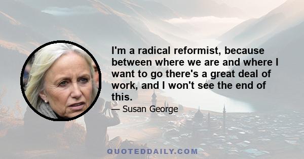 I'm a radical reformist, because between where we are and where I want to go there's a great deal of work, and I won't see the end of this.