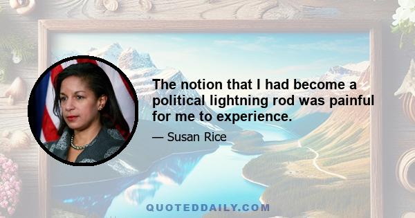 The notion that I had become a political lightning rod was painful for me to experience.