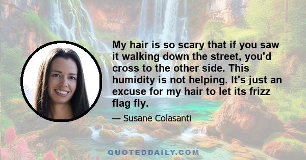 My hair is so scary that if you saw it walking down the street, you'd cross to the other side. This humidity is not helping. It's just an excuse for my hair to let its frizz flag fly.