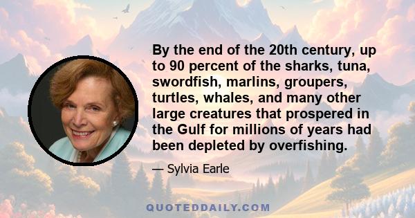 By the end of the 20th century, up to 90 percent of the sharks, tuna, swordfish, marlins, groupers, turtles, whales, and many other large creatures that prospered in the Gulf for millions of years had been depleted by