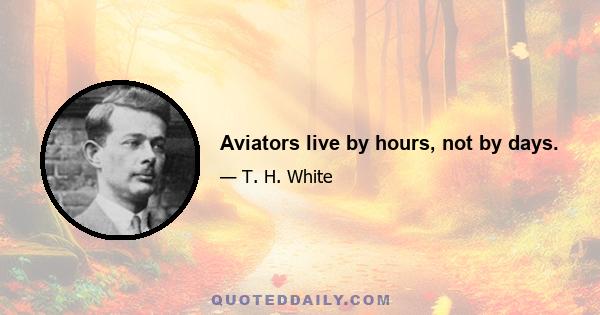 Aviators live by hours, not by days.