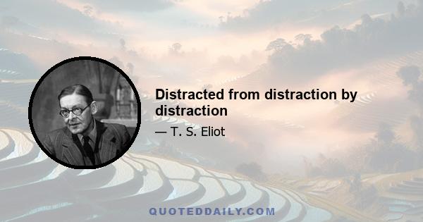 Distracted from distraction by distraction