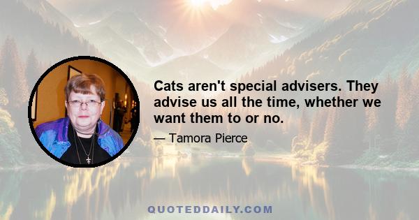 Cats aren't special advisers. They advise us all the time, whether we want them to or no.