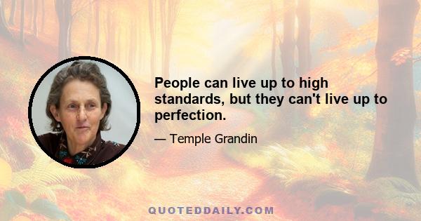 People can live up to high standards, but they can't live up to perfection.