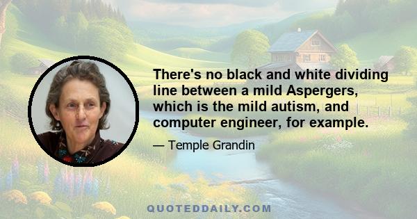 There's no black and white dividing line between a mild Aspergers, which is the mild autism, and computer engineer, for example.