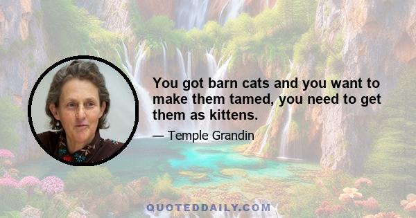 You got barn cats and you want to make them tamed, you need to get them as kittens.