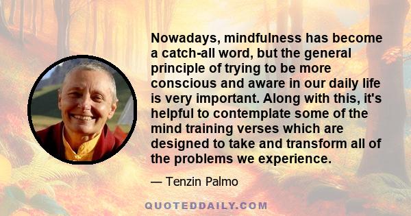 Nowadays, mindfulness has become a catch-all word, but the general principle of trying to be more conscious and aware in our daily life is very important. Along with this, it's helpful to contemplate some of the mind