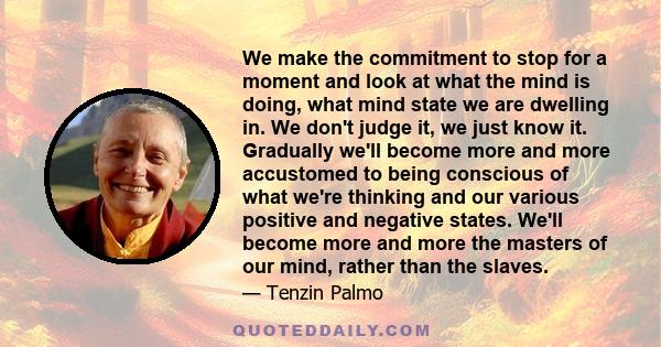 We make the commitment to stop for a moment and look at what the mind is doing, what mind state we are dwelling in. We don't judge it, we just know it. Gradually we'll become more and more accustomed to being conscious