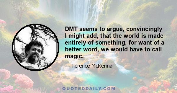 DMT seems to argue, convincingly I might add, that the world is made entirely of something, for want of a better word, we would have to call magic.