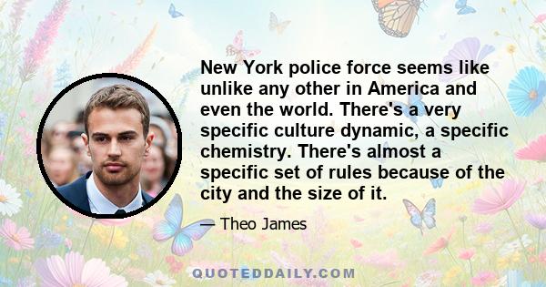 New York police force seems like unlike any other in America and even the world. There's a very specific culture dynamic, a specific chemistry. There's almost a specific set of rules because of the city and the size of