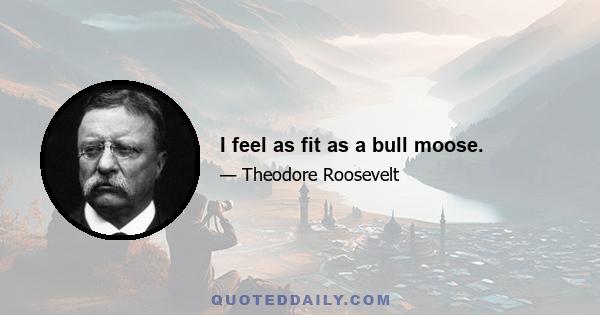 I feel as fit as a bull moose.