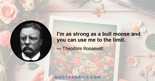 I'm as strong as a bull moose and you can use me to the limit.