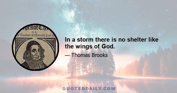 In a storm there is no shelter like the wings of God.